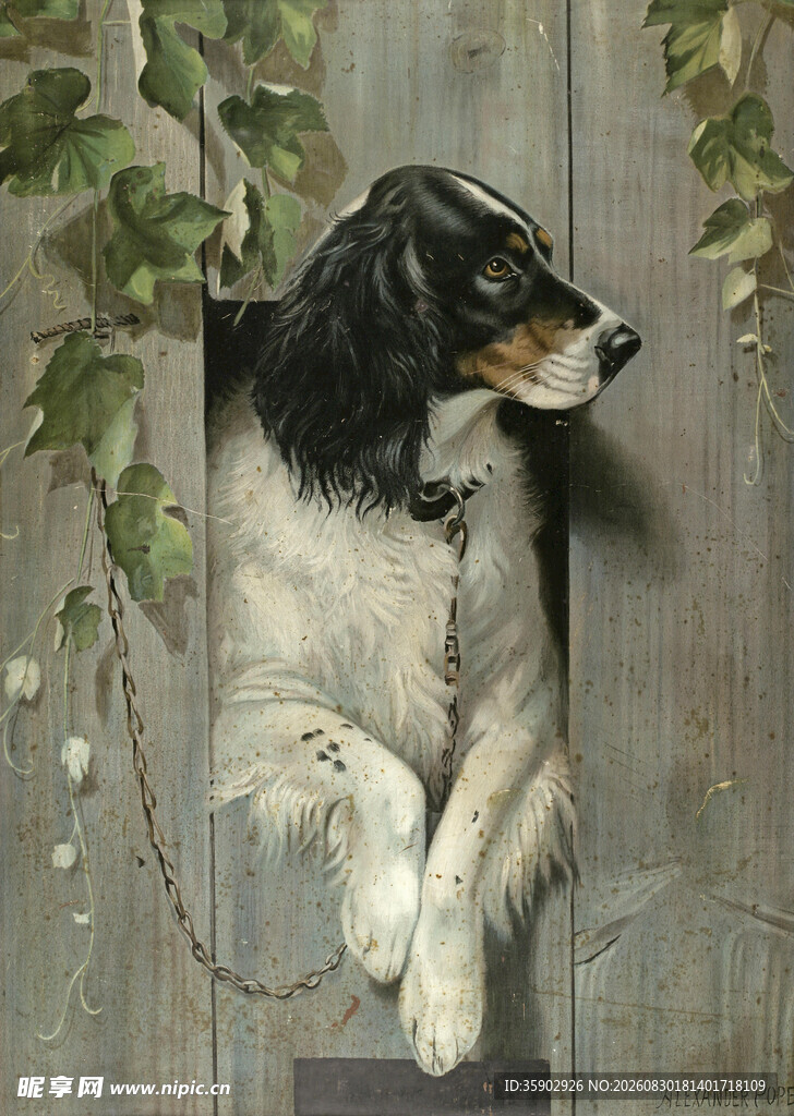 挂在木墙上的黑白猎犬