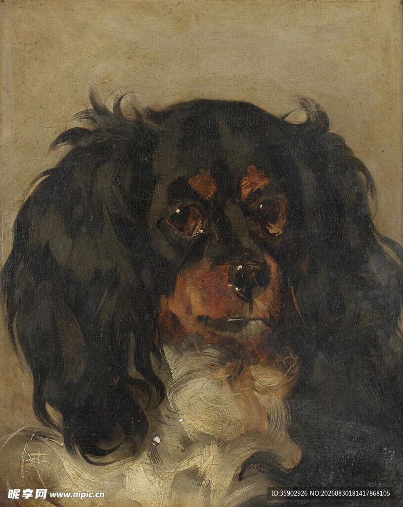 复古风格的宠物犬肖像画