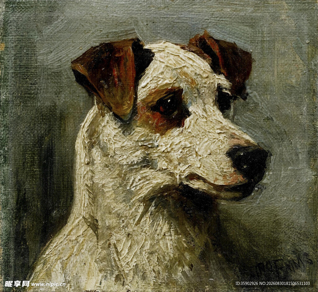 杰克罗素梗犬肖像画