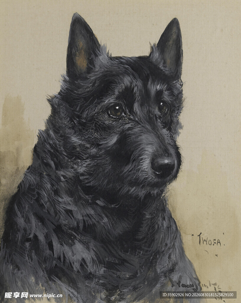 黑色犬类肖像画