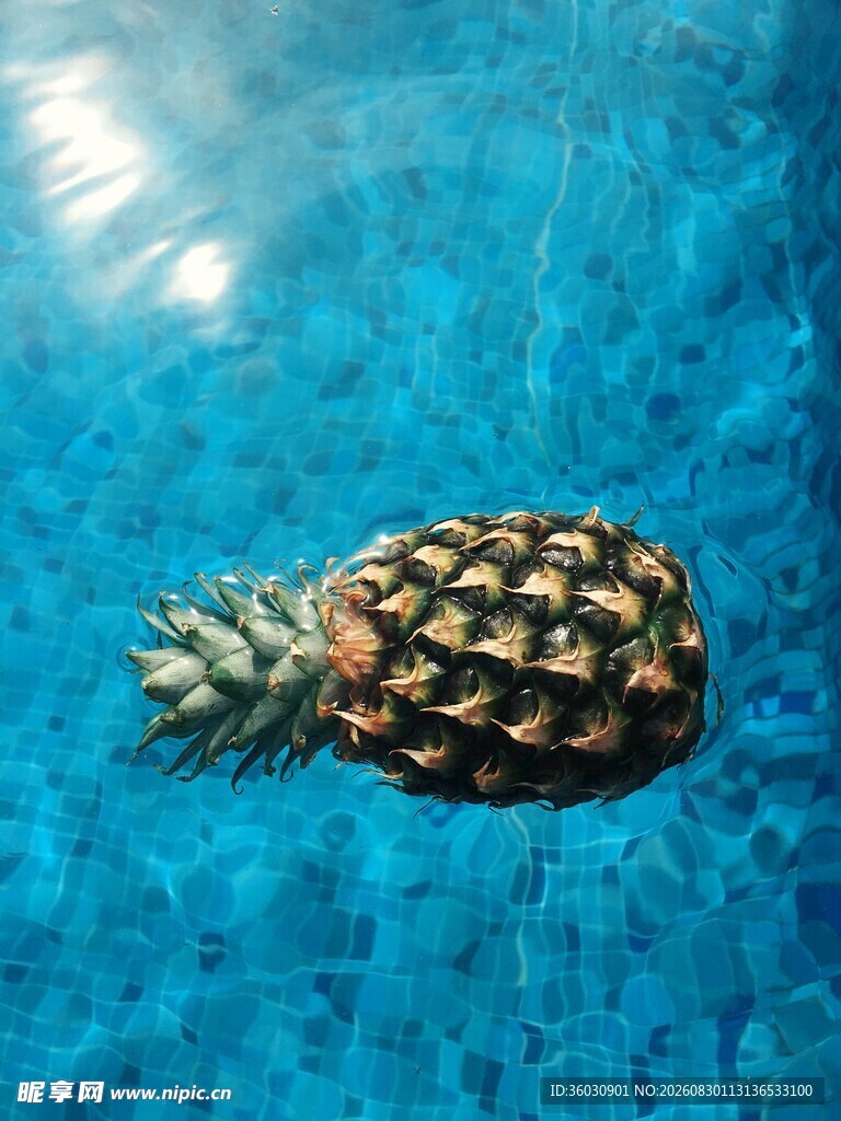 泳池中的菠萝
