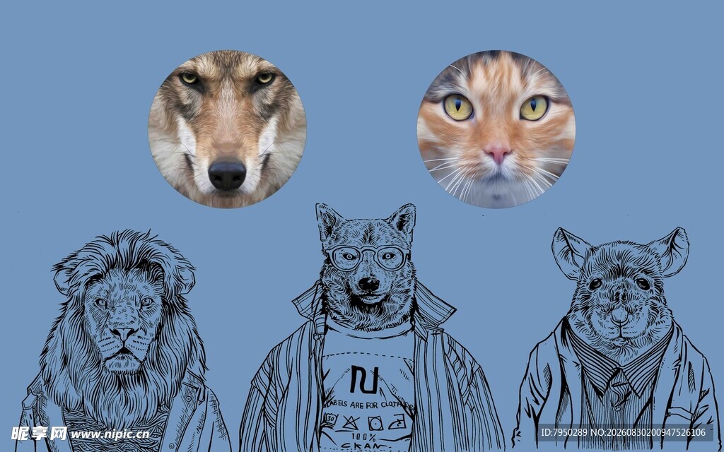 动物拟人头像插画设计
