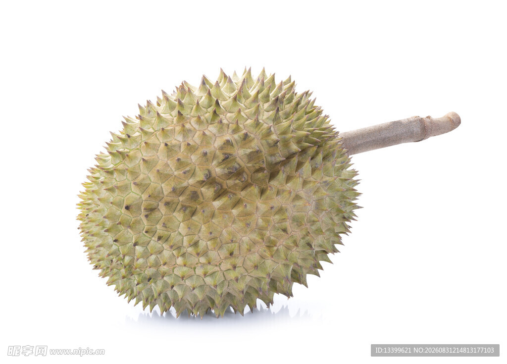 单个新鲜榴莲特写