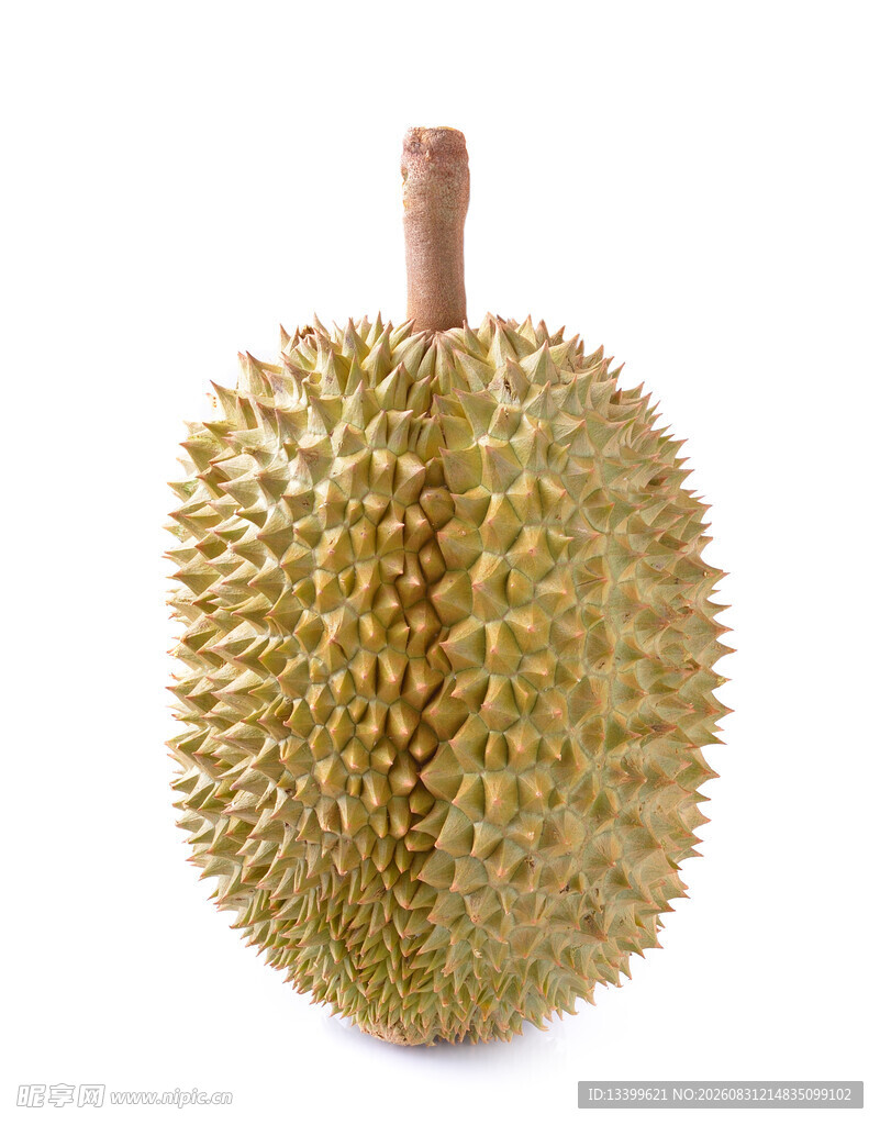 金黄饱满的新鲜榴莲