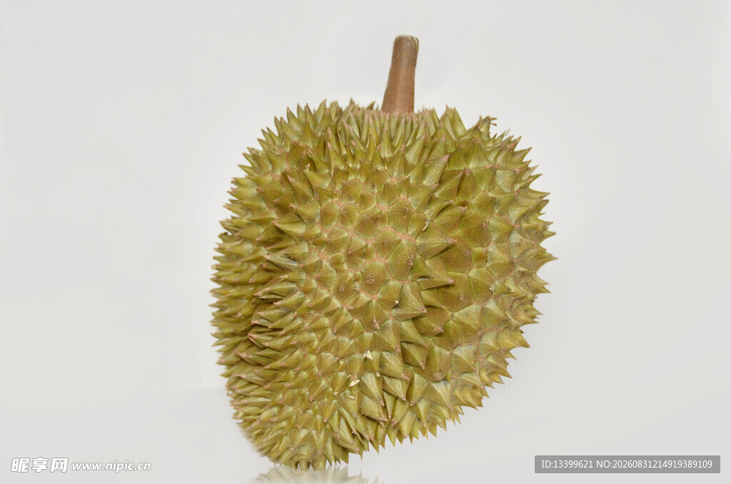 新鲜带刺榴莲果实