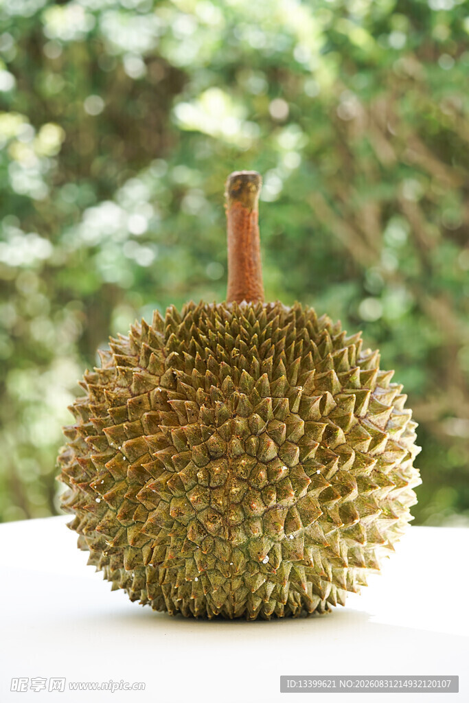 一颗饱满的新鲜榴莲