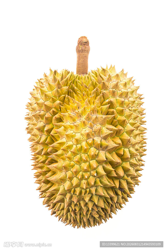 金黄带刺的新鲜榴莲