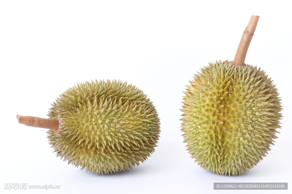 两个新鲜榴莲