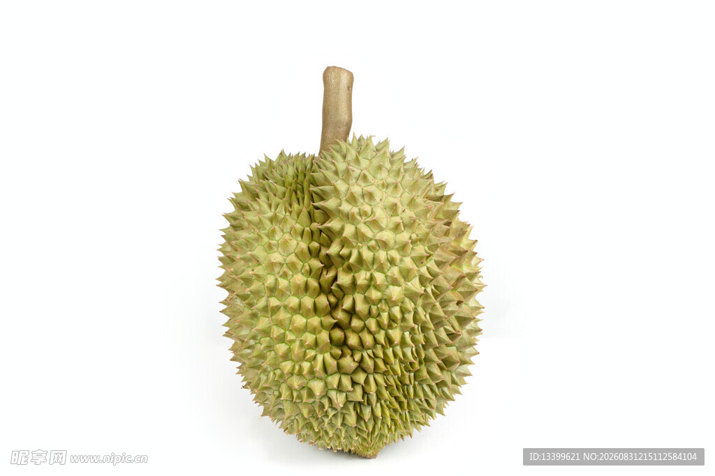 单个新鲜榴莲特写