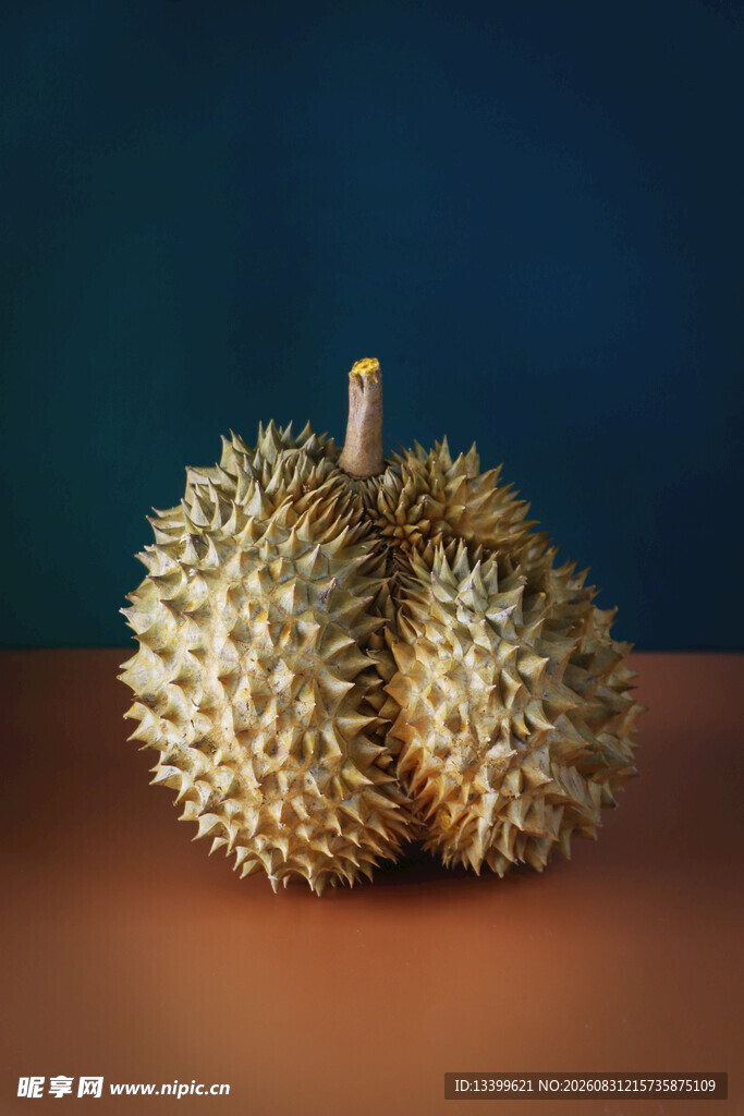 两个带刺的新鲜榴莲