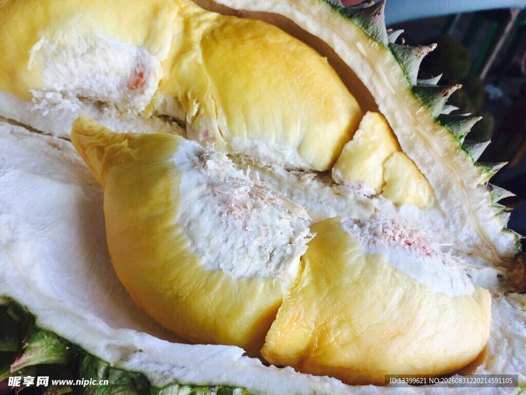 剥开的香甜美味榴莲果肉