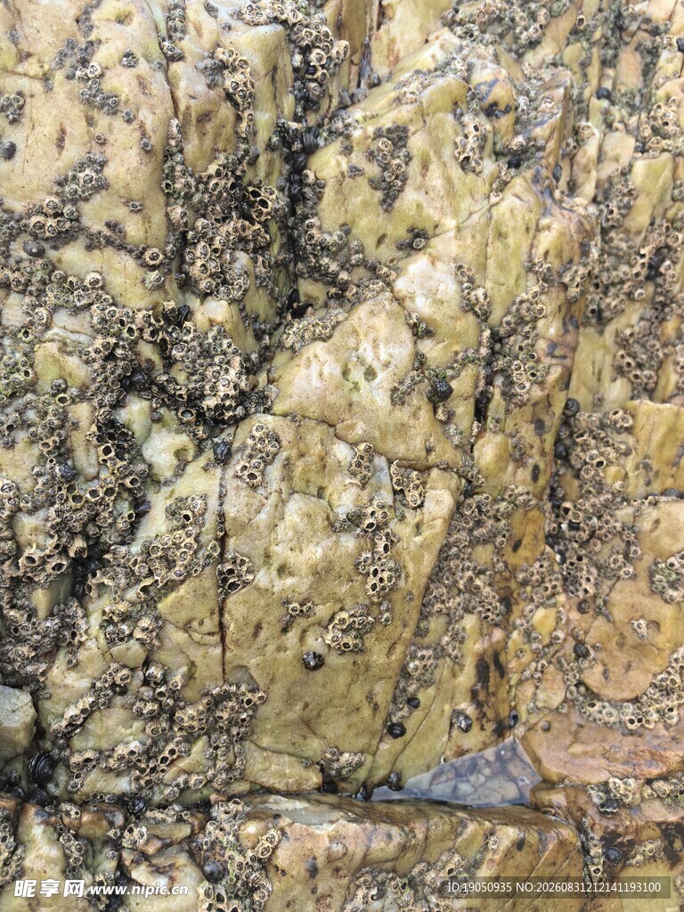 岩石纹理特写