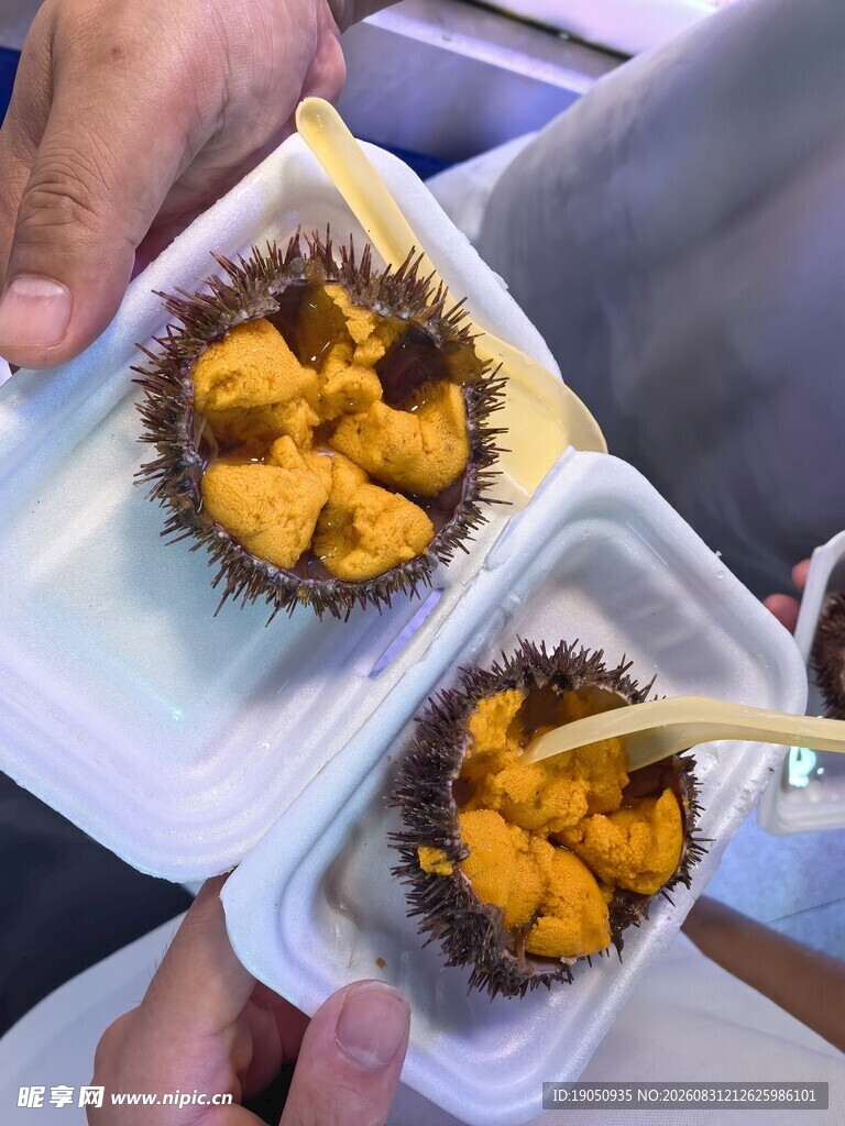 新鲜美味的盒装海胆