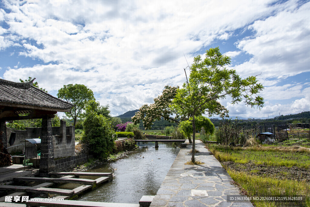 晴朗水塘美景