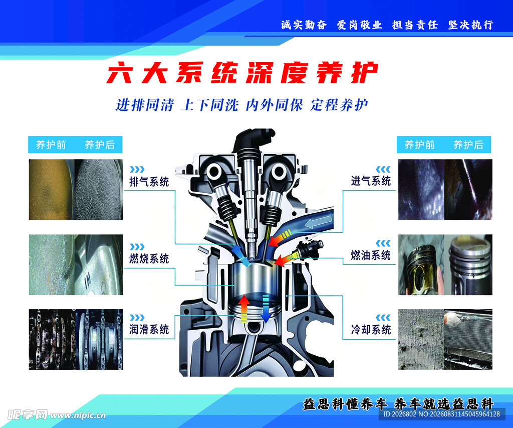 六大系统深度养护