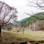 山间旷野