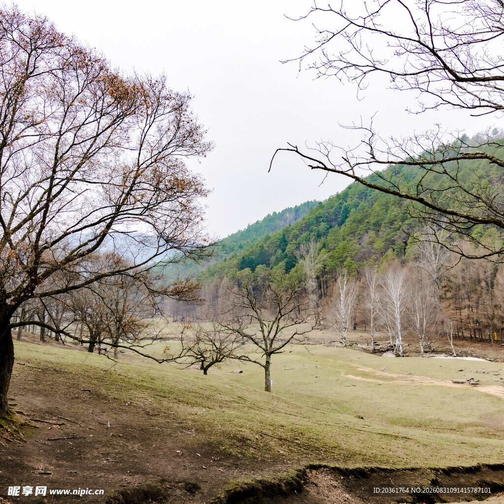 山间旷野