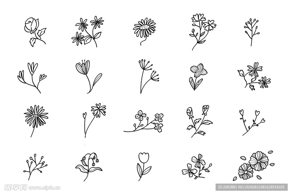 手绘花卉植物图案集合