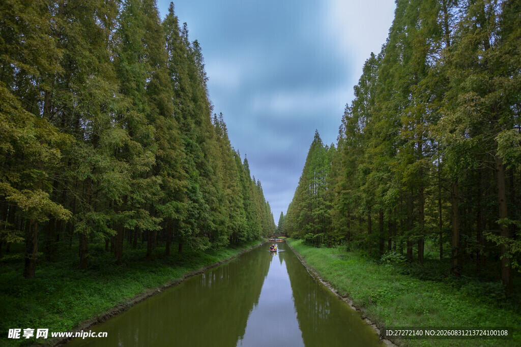 林间河道绿意盎然的美景