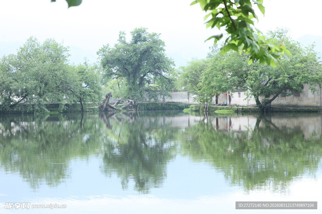 宁静湖畔绿树倒影美景