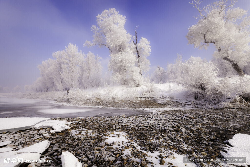 冬日冰雪覆盖的梦幻景观