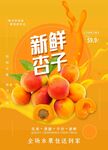 新鲜杏子  开启美味新体验