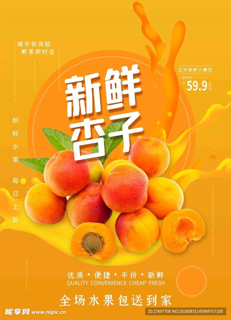 新鲜杏子  开启美味新体验