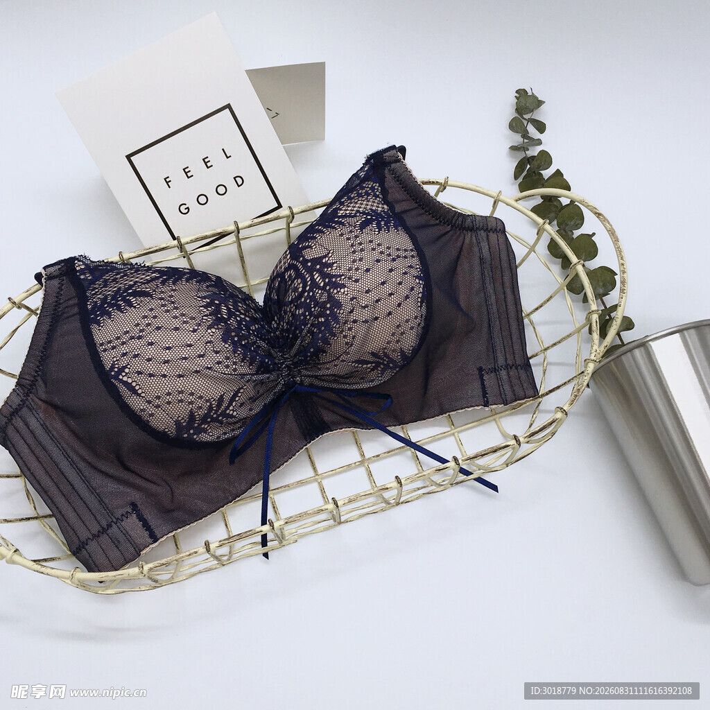 精致蕾丝女士内衣展示