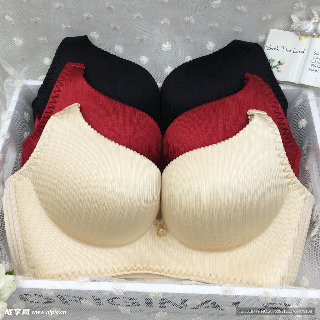 多款女士内衣展示