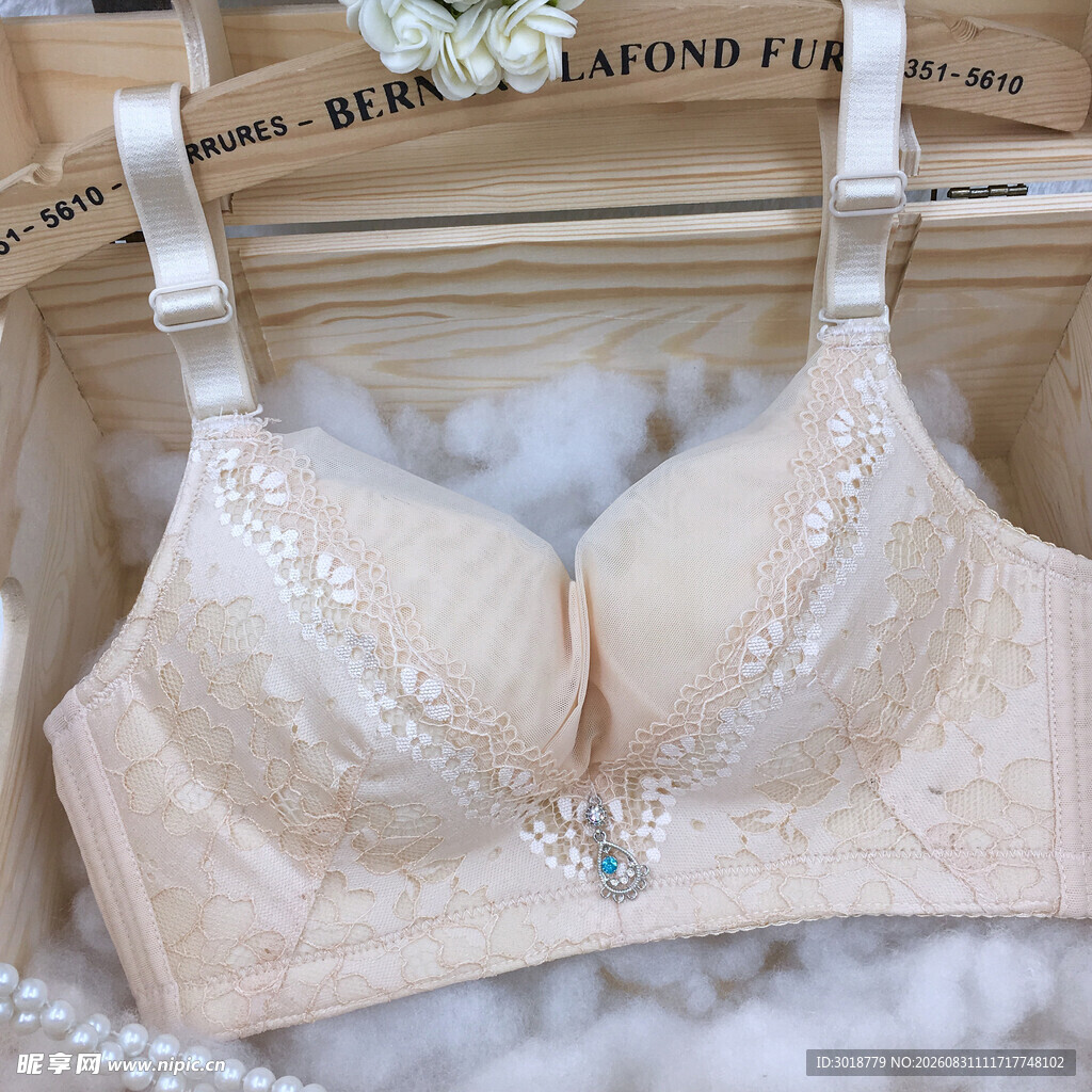 精致蕾丝女士内衣展示