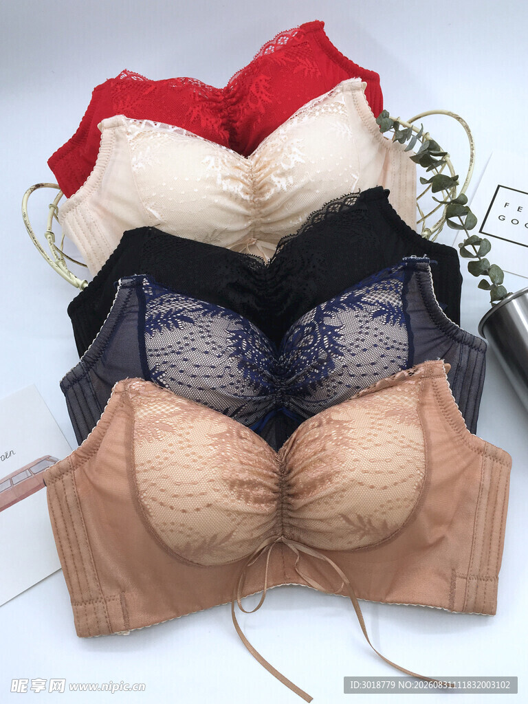 多款女士内衣展示