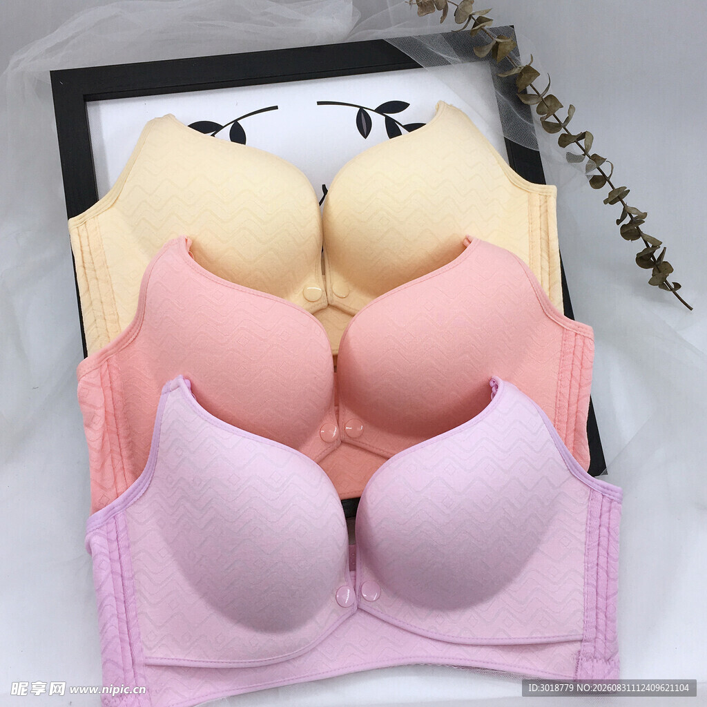 多款色彩女士内衣展示