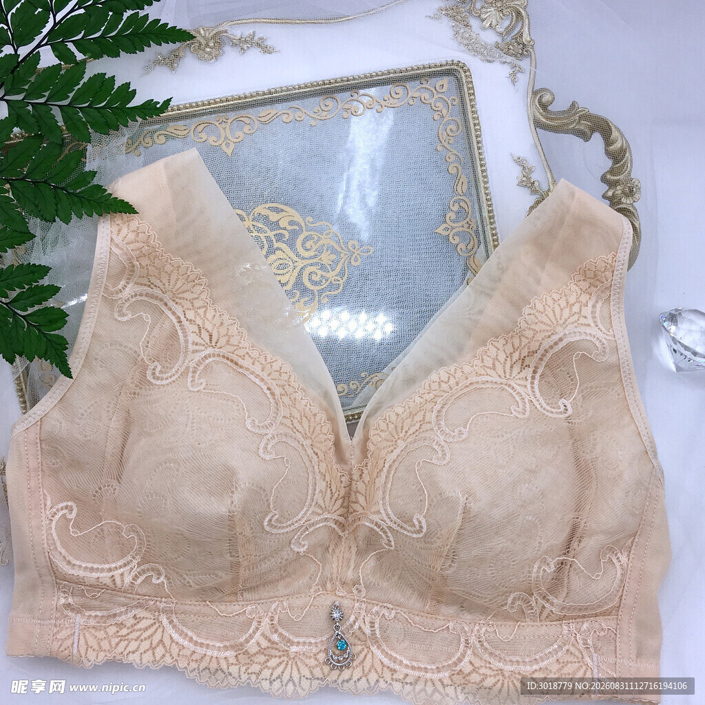 精致蕾丝女士内衣展示