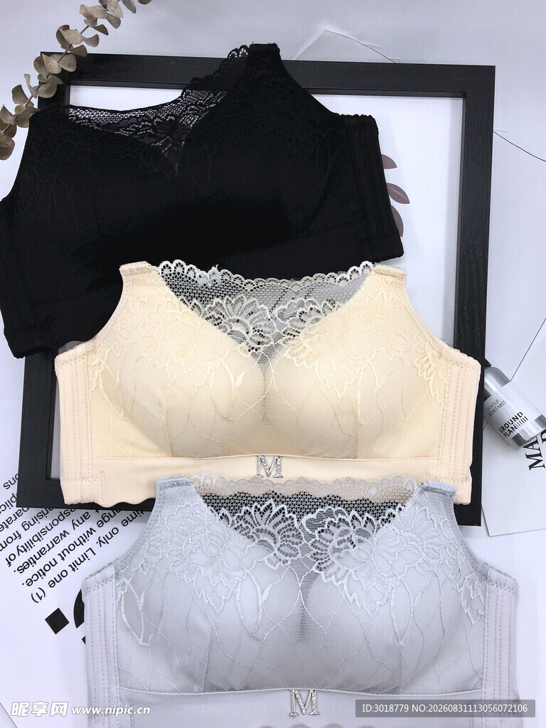 多款女士内衣展示