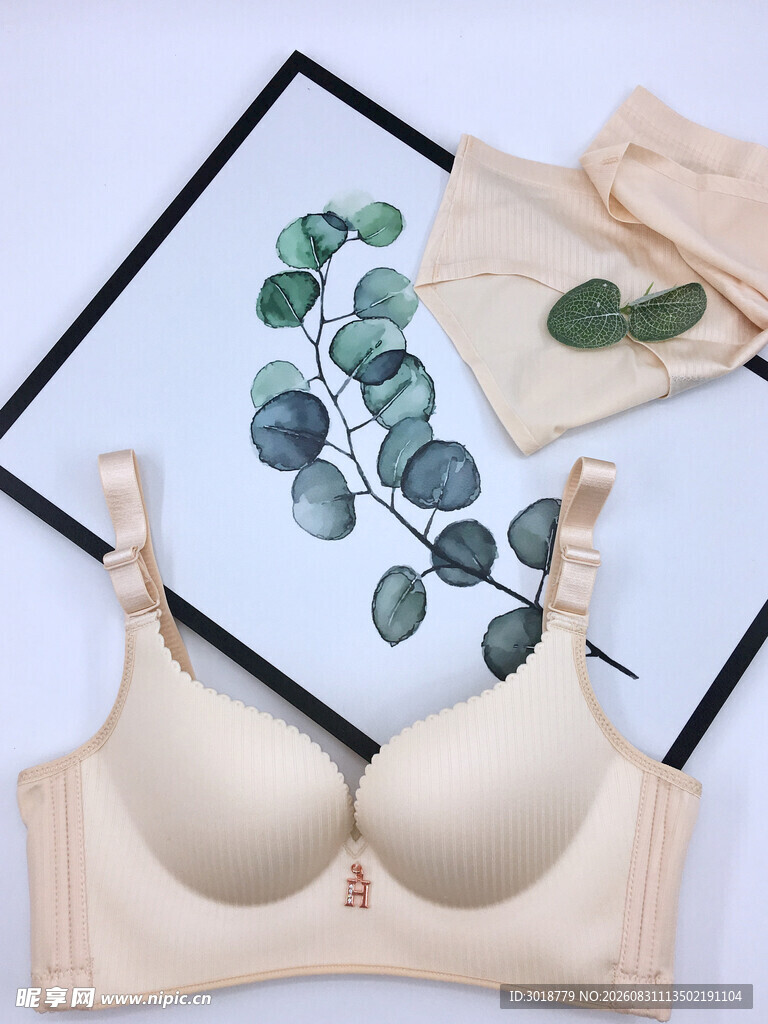 简约风无钢圈女士内衣展示