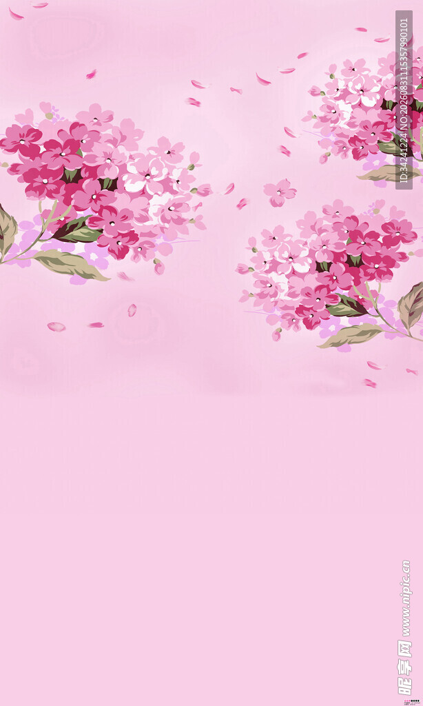 粉色背景绽放的烂漫樱花