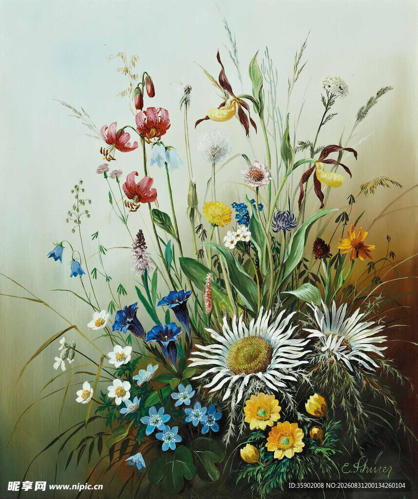 缤纷野花插画