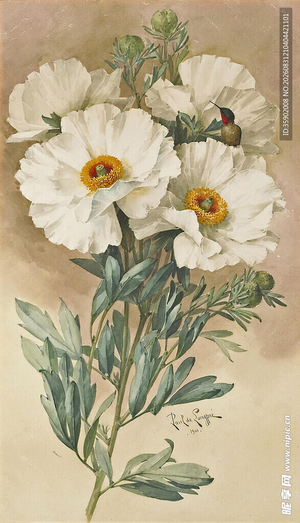 复古风白色花卉插画