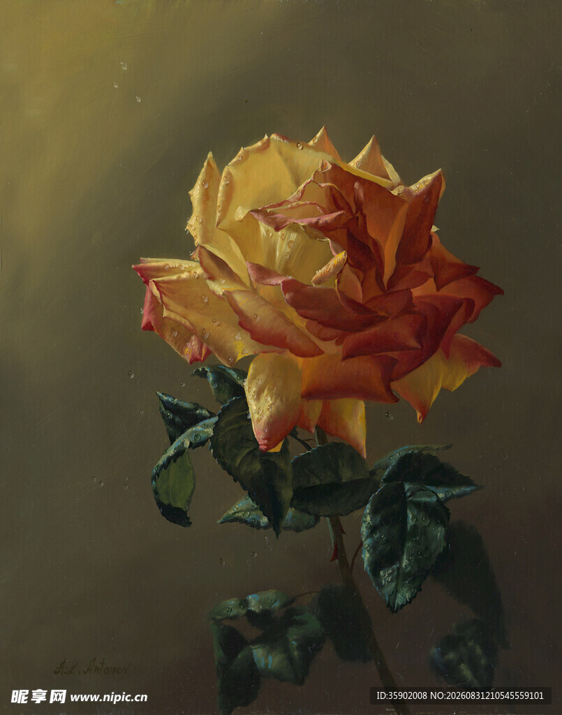 橙黄色单枝玫瑰油画