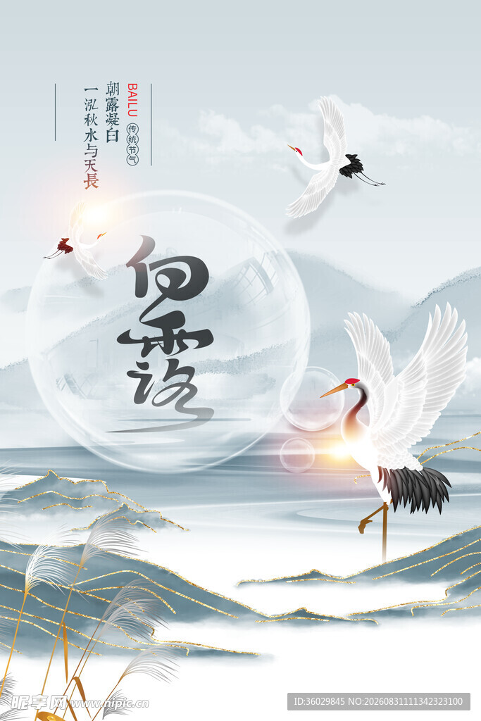 白露