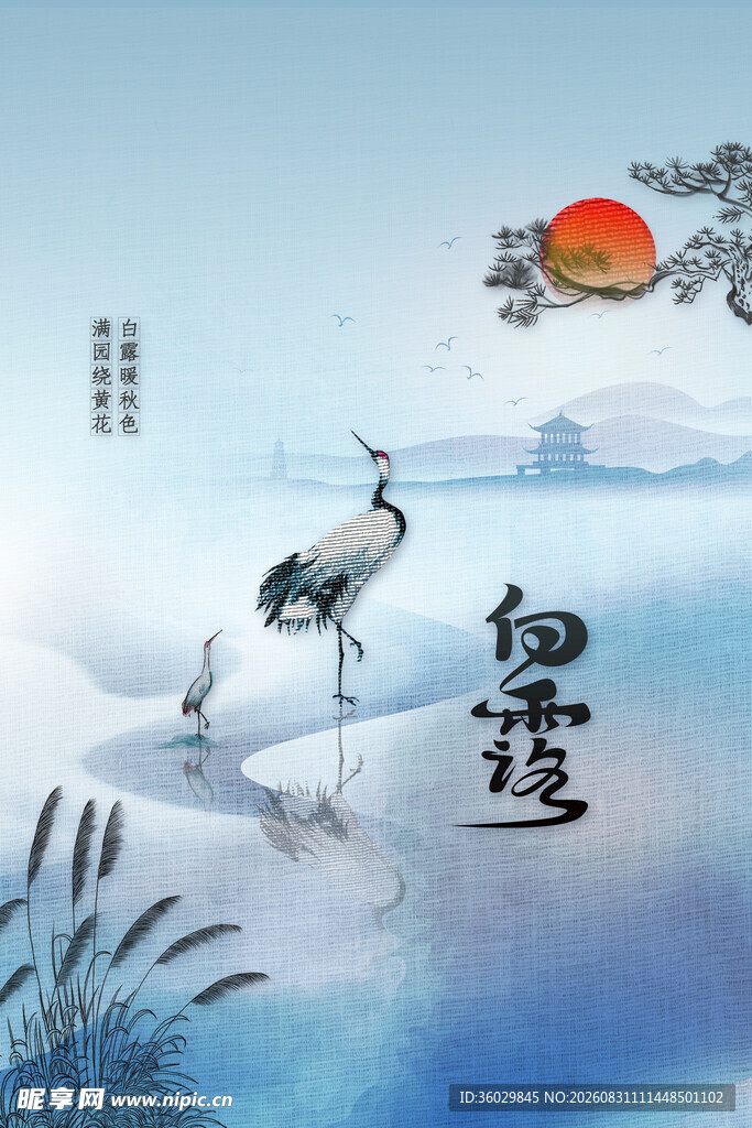 白露