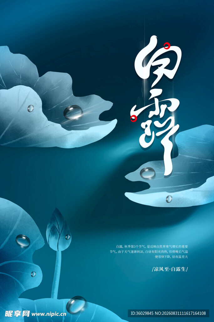 白露
