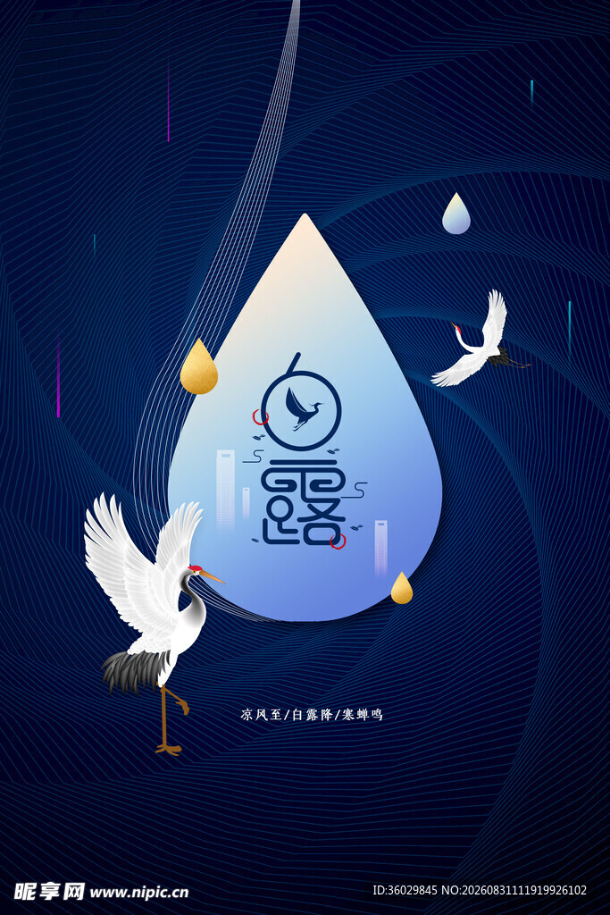 白露