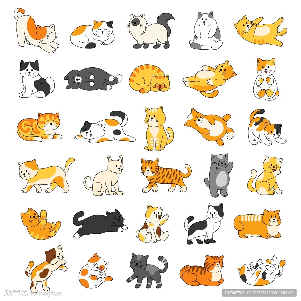 猫咪插画