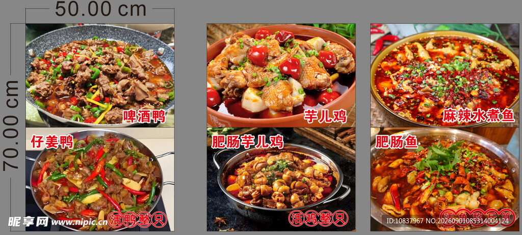 多样美味菜肴展示