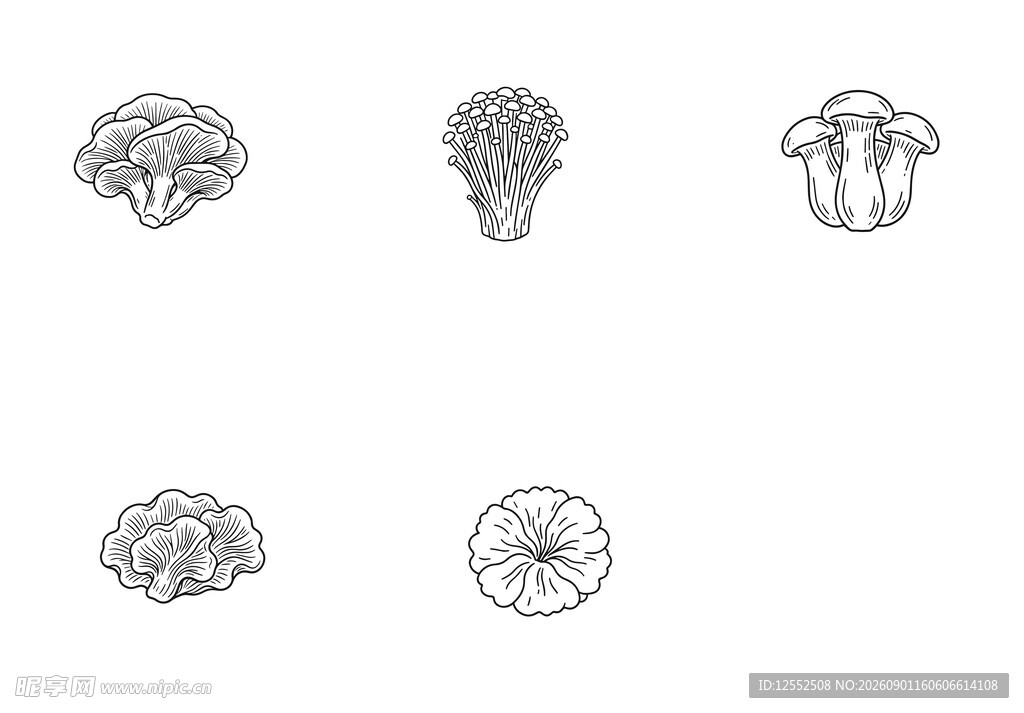手绘蔬菜简笔画图案集