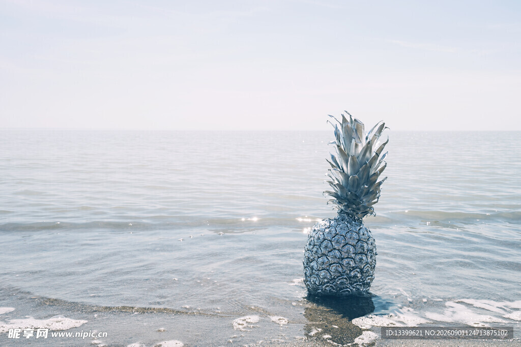 海边独放的菠萝