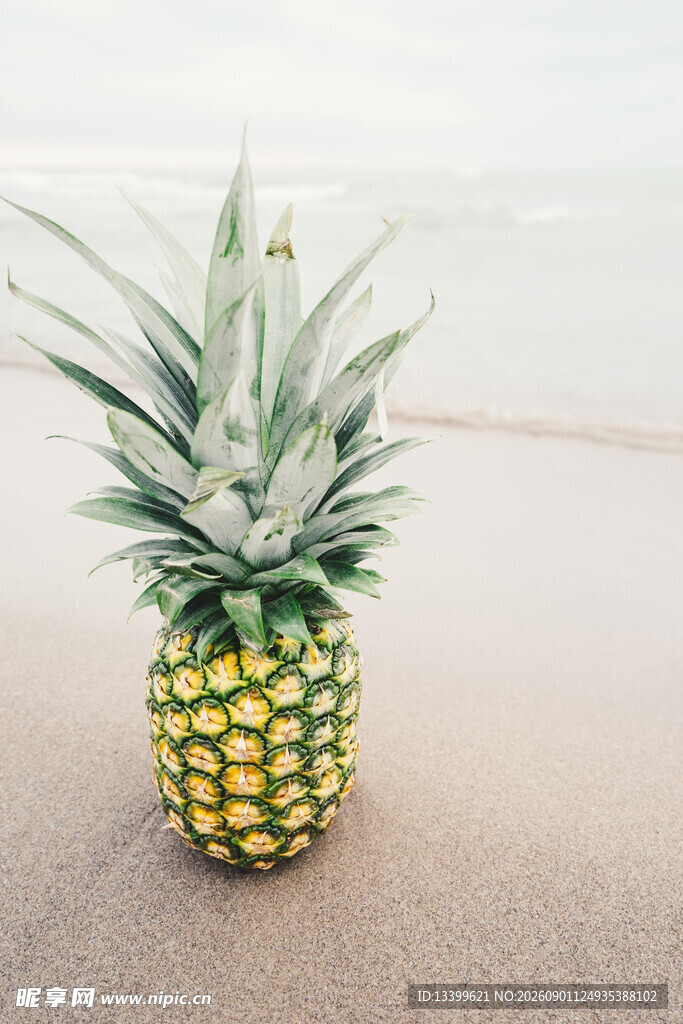沙滩上的新鲜菠萝