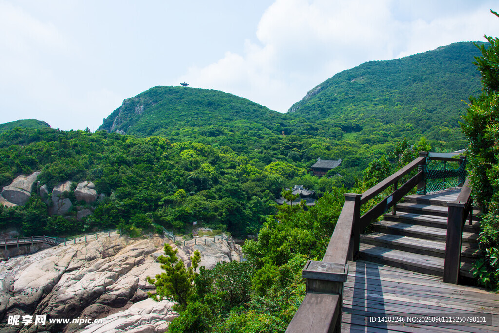 山间木栈道赏绿意美景