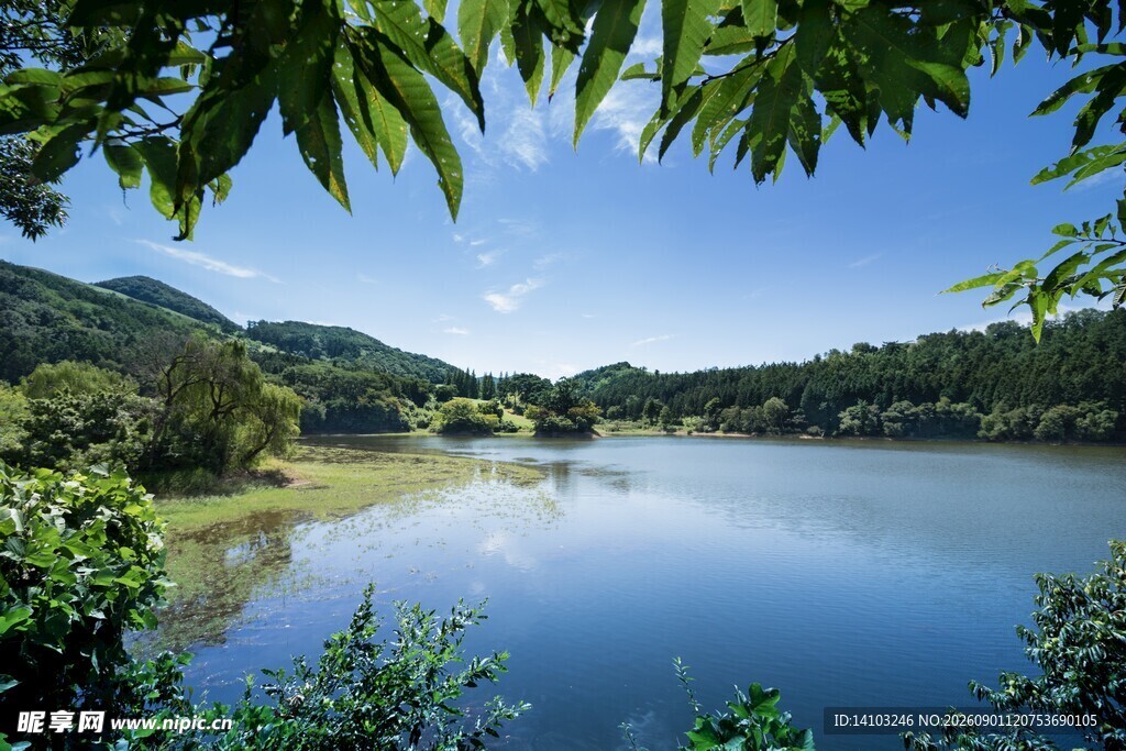 湖畔青山绿树自然风光